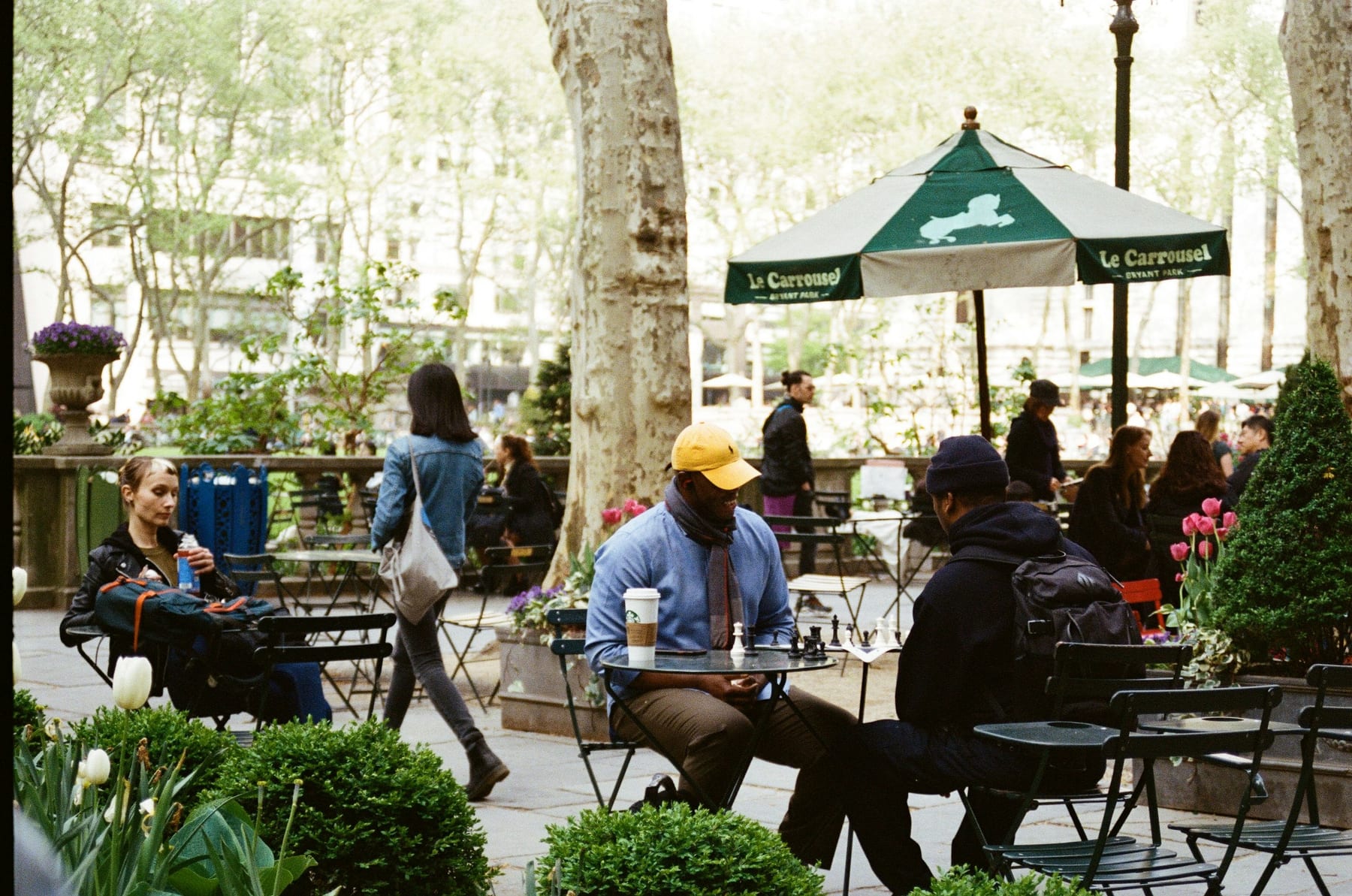 Bryant Park lawn under summer trees, Midtown skyline behind